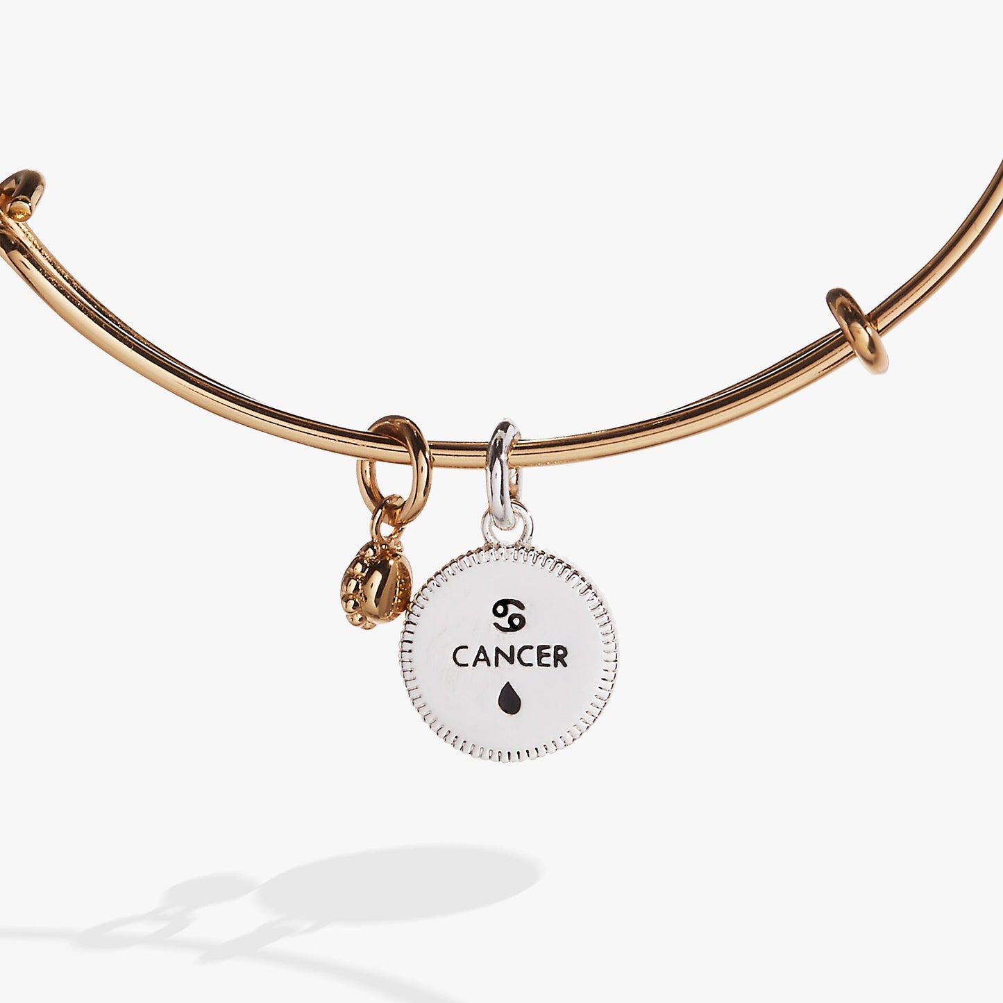 Cancer Zodiac Charm Bangle Two Tone