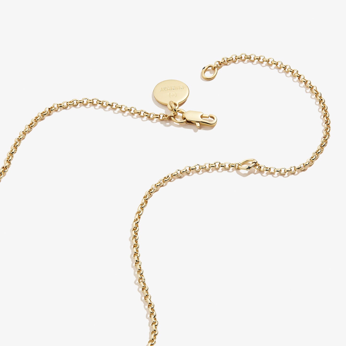 Circle Charm Necklace, 19'' - Alex and Ani Silver