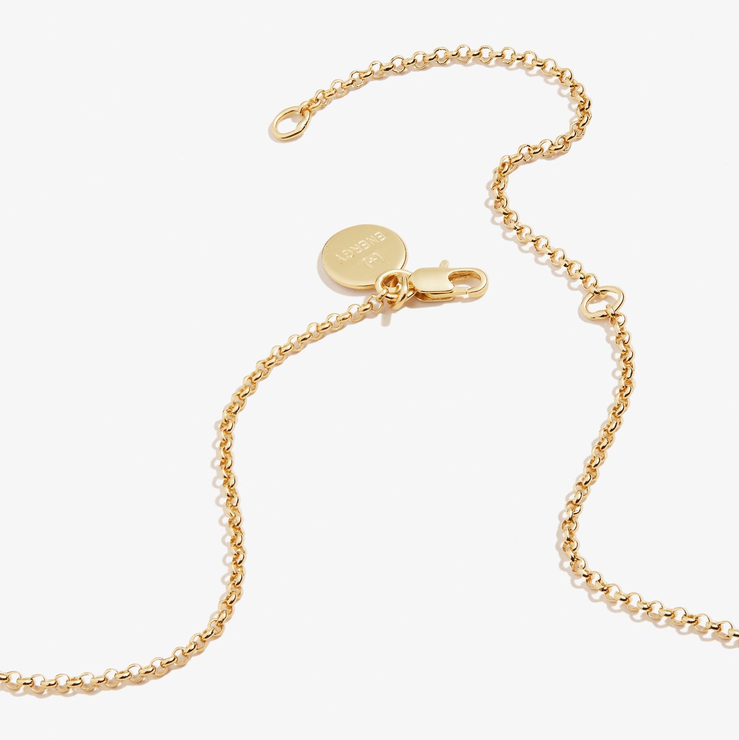 Circle Charm Necklace - Alex and Ani Silver