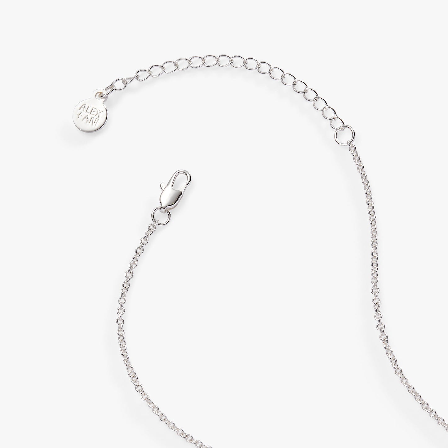 “Wild at Heart” Duo Charm Pendant Necklace Silver