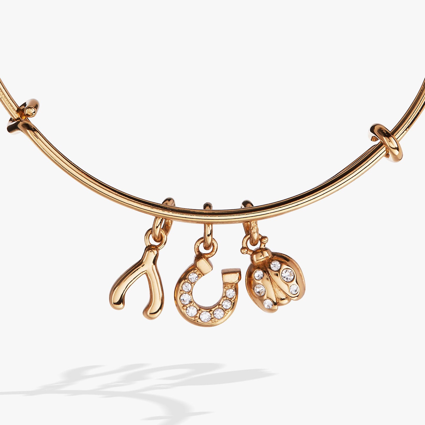 Love and Luck Multi-Charm Bangle Gold