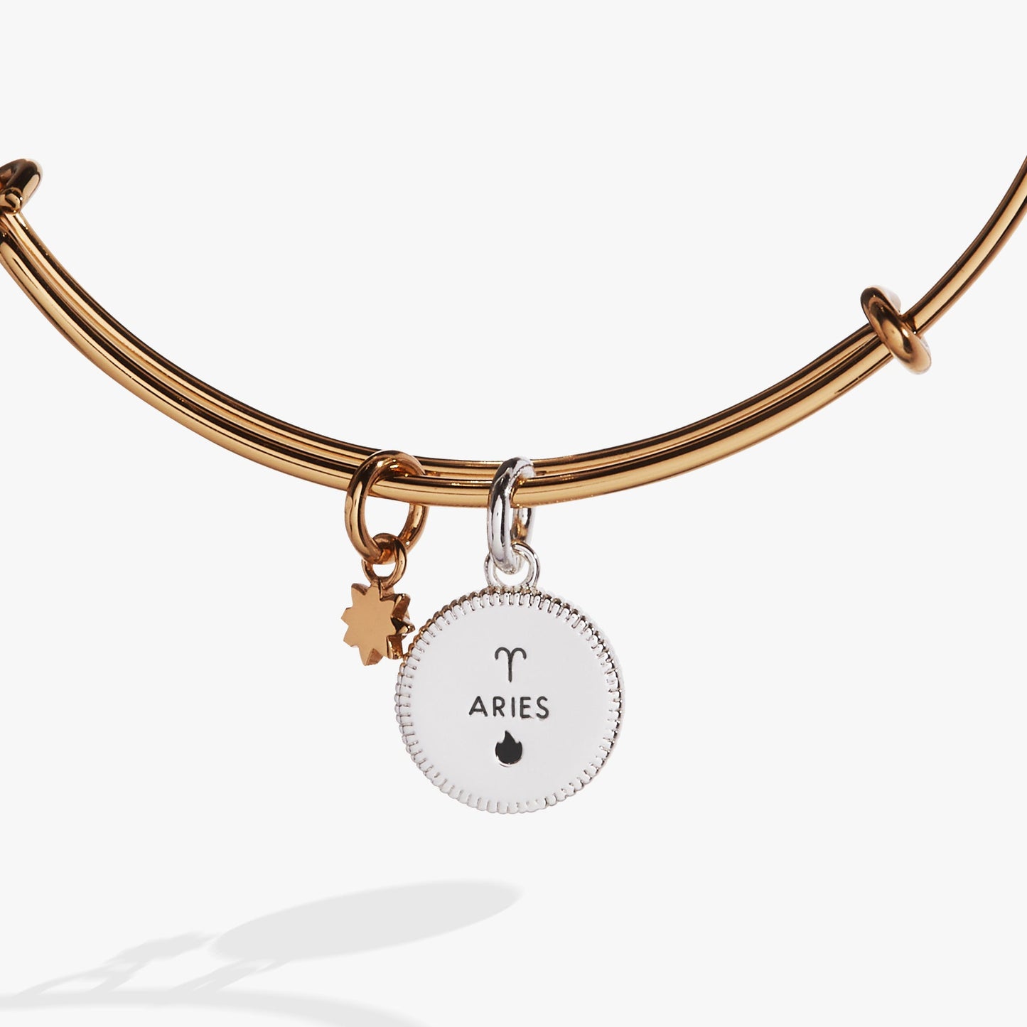 Aries Zodiac Charm Bangle Two Tone