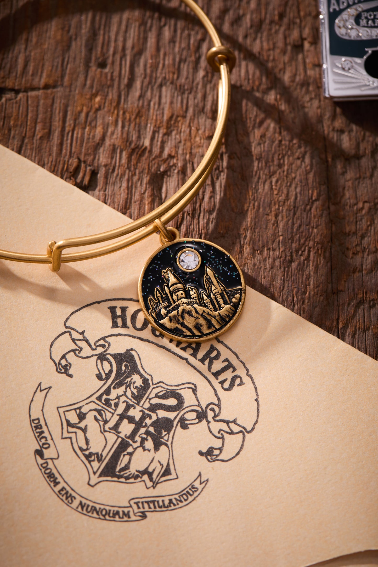 Harry Potter™ Hogwarts™ Castle Charm Bangle Rafaelian Gold