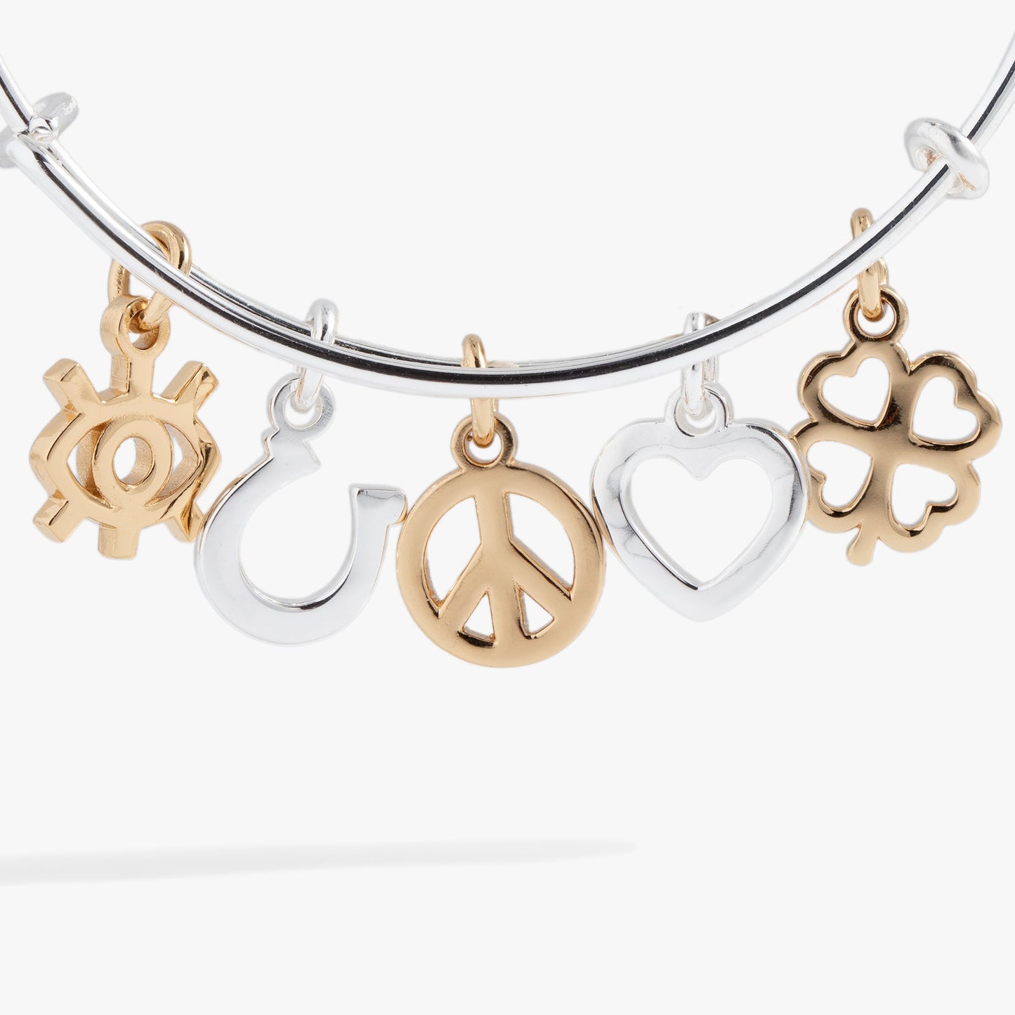 Mixed Symbol Multi-Charm Bangle Two Tone