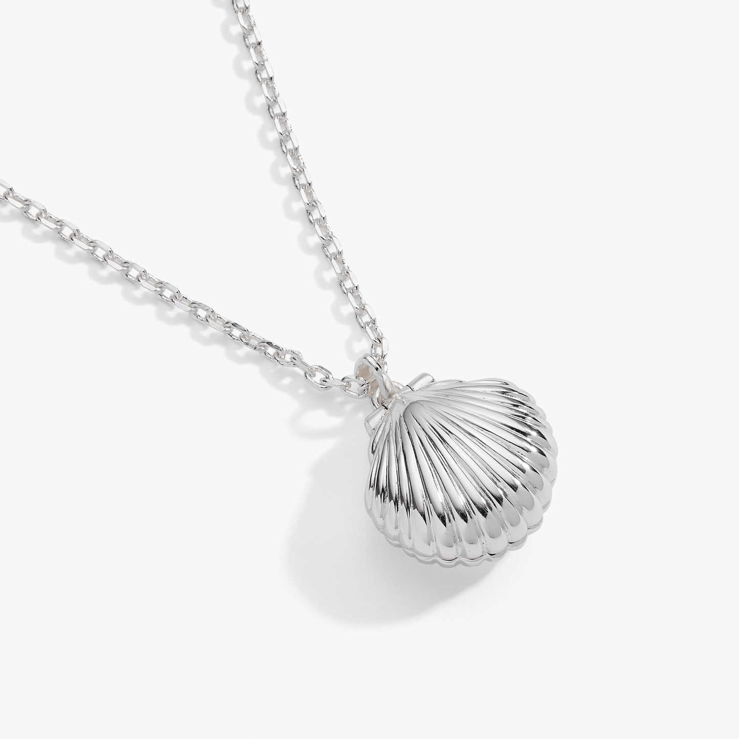 Salt + Sea 'Seashells Are Love Letters In The Sand' Seashell Locket Pendant Silver