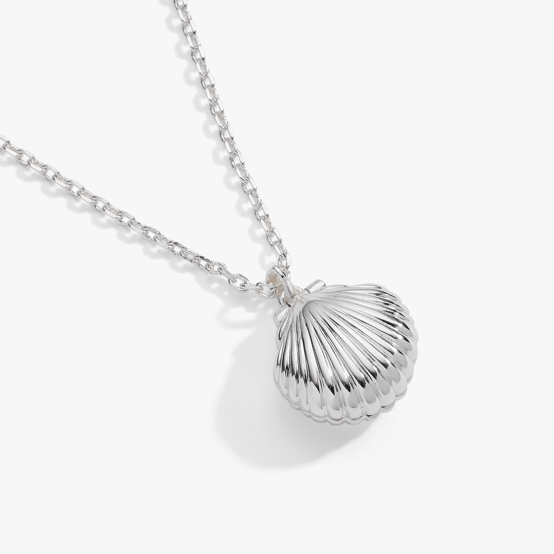 Salt + Sea 'Seashells Are Love Letters In The Sand' Seashell Locket Pendant Silver