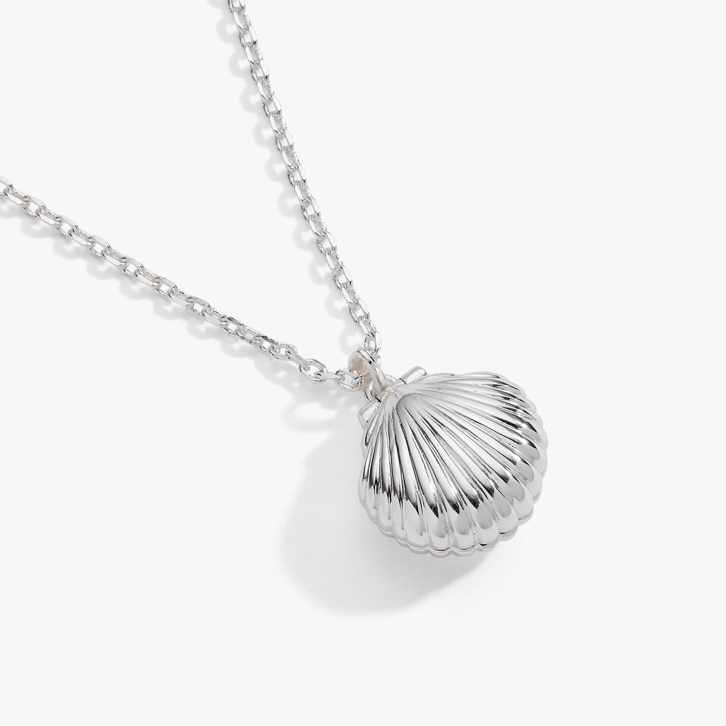 Salt + Sea 'Seashells Are Love Letters In The Sand' Seashell Locket Pendant Silver