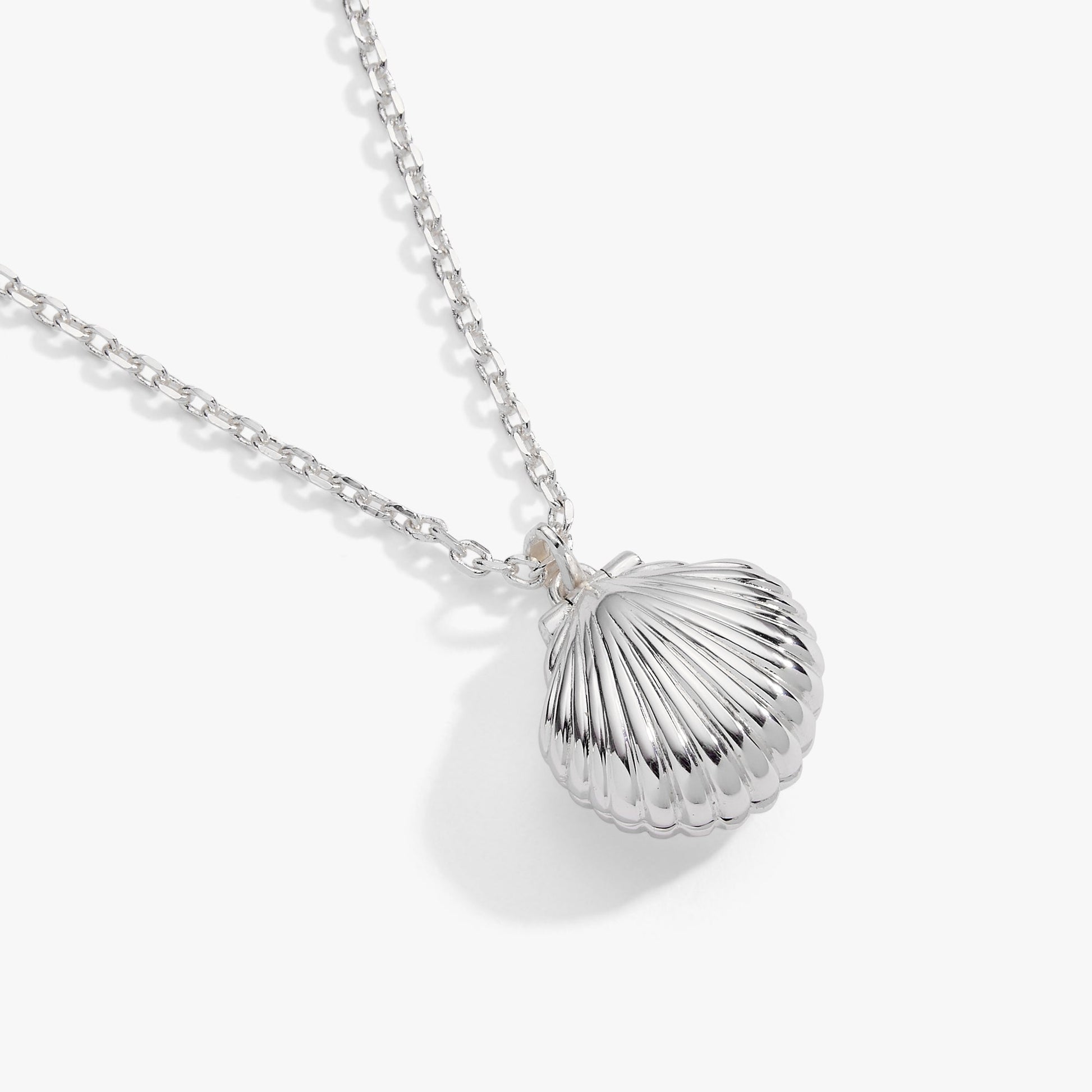 Salt + Sea 'Seashells Are Love Letters In The Sand' Seashell Locket Pendant Silver
