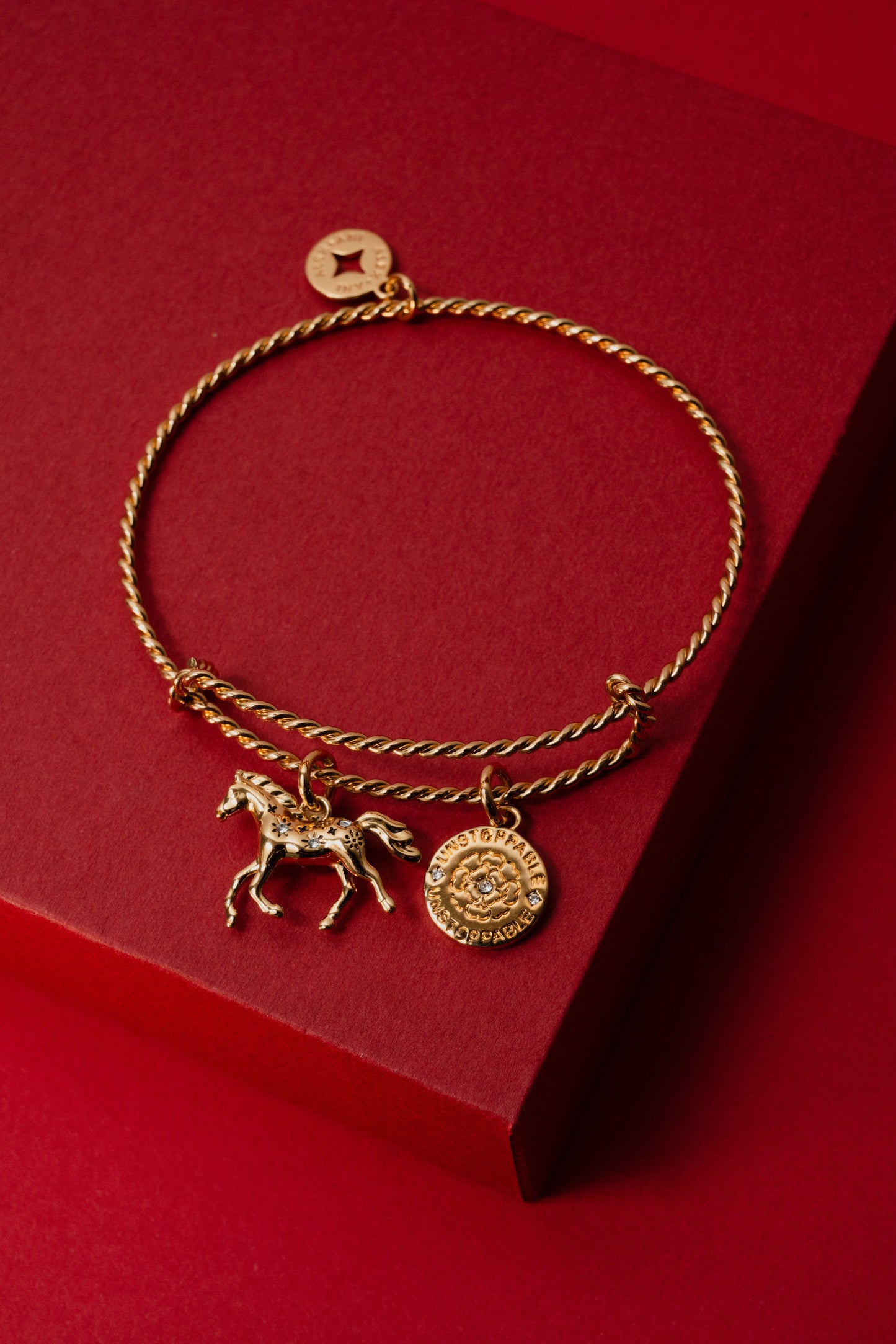 Horse Rope Textured Charm Bangle Gold