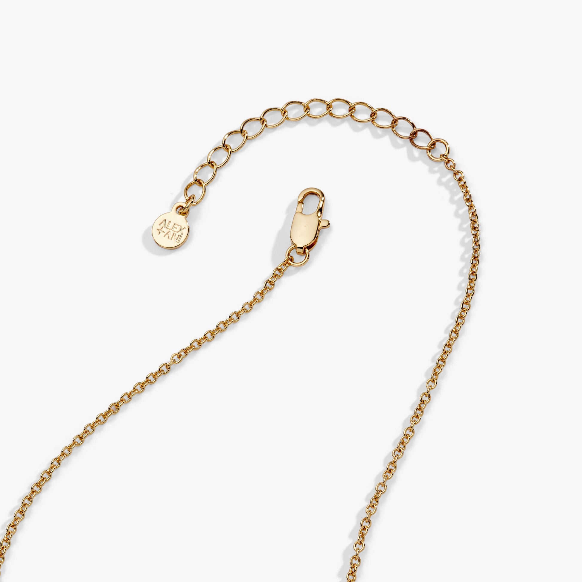 Pet Mom Nameplate Necklace Gold
