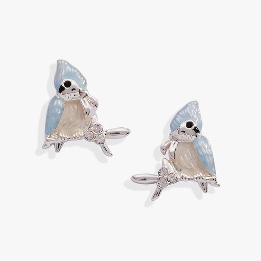 Tufted Titmouse Stud Earrings Silver