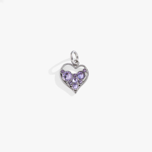 Crystal Heart Interchangeable Charm​ Stainless Steel Silver