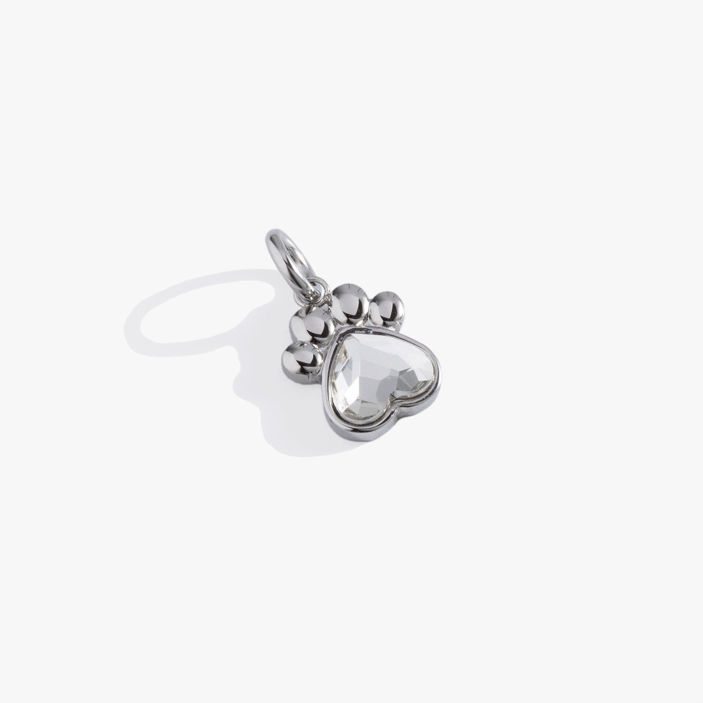 Crystal Paw Interchangeable Charm Stainless Steel Silver