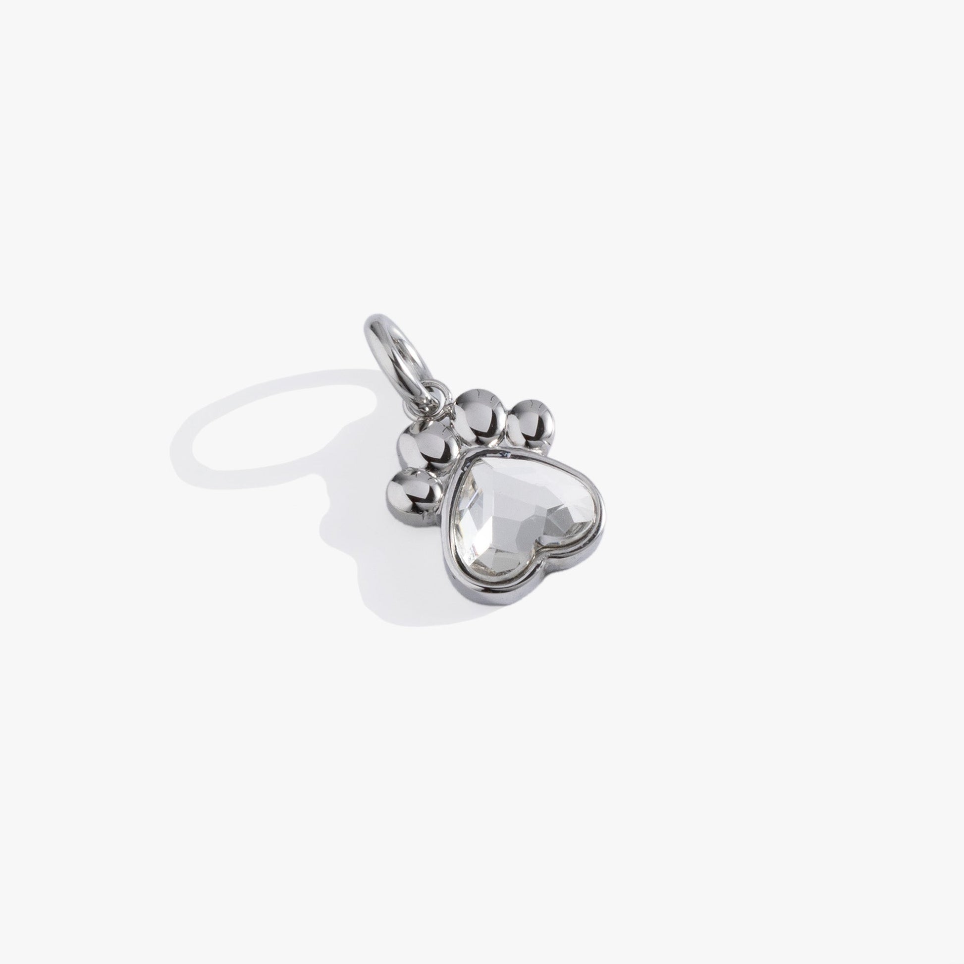 Crystal Paw Interchangeable Charm Stainless Steel Silver