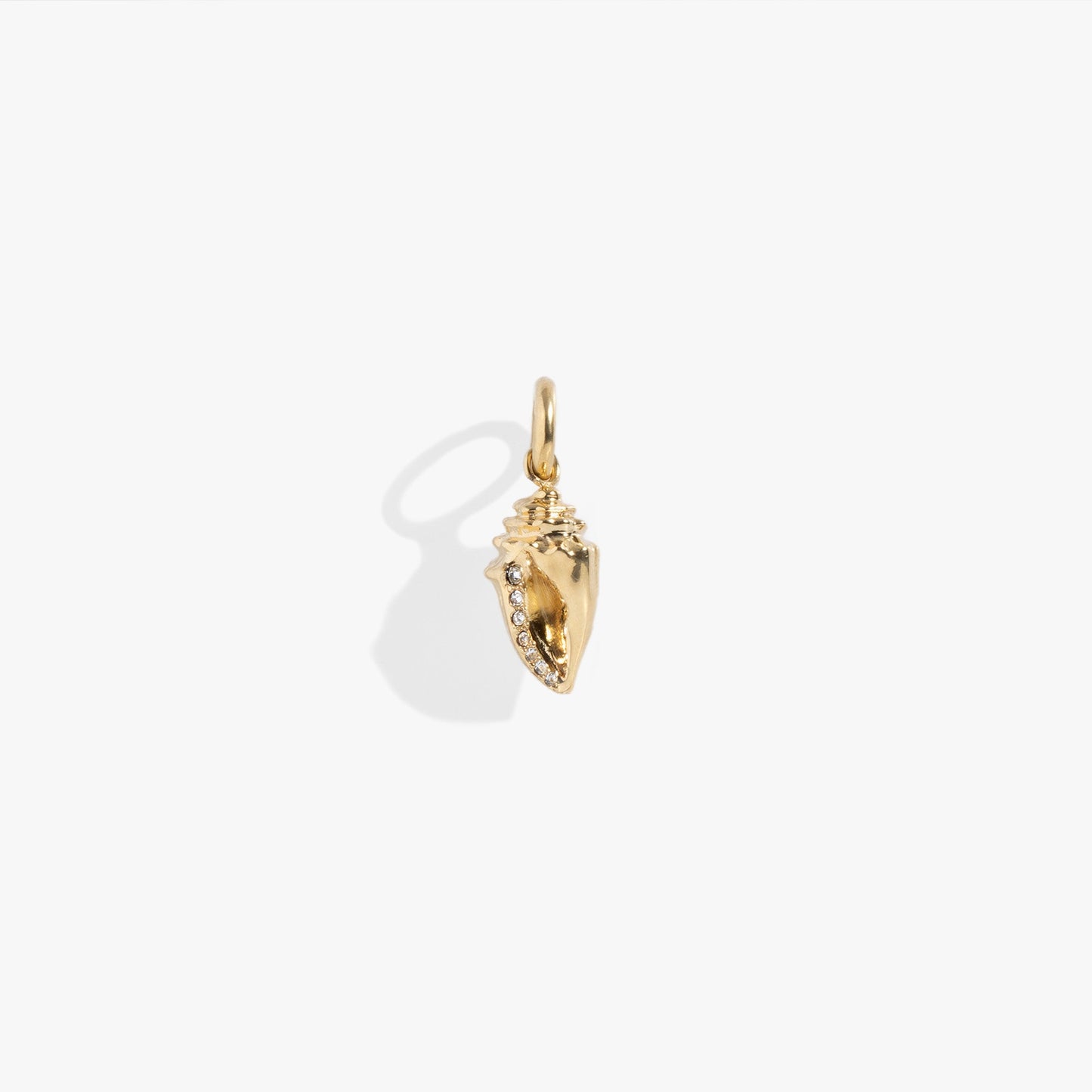 Conch Shell Interchangeable Charm Stainless Steel Gold