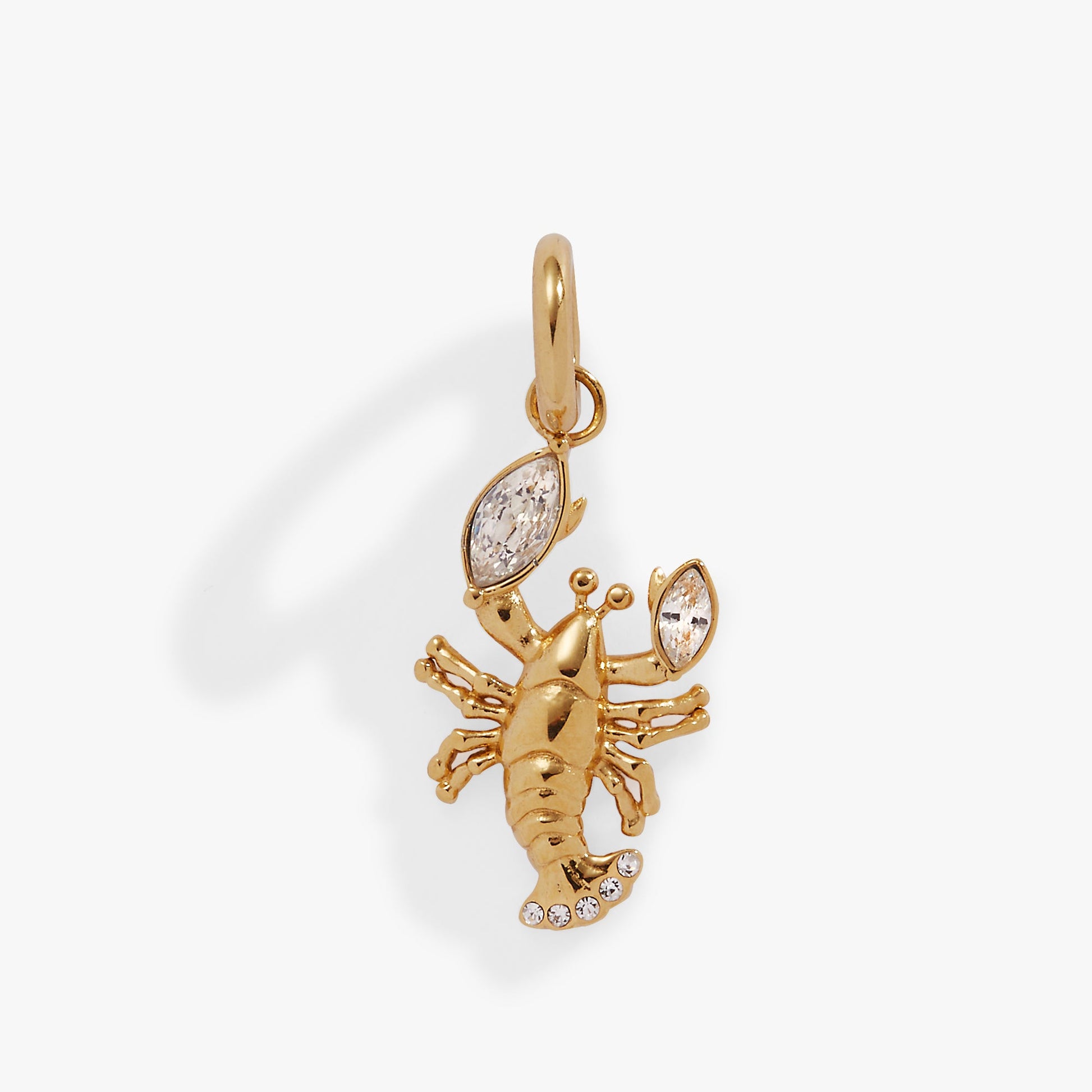 Lobster Interchangeable Charm Stainless Steel Gold