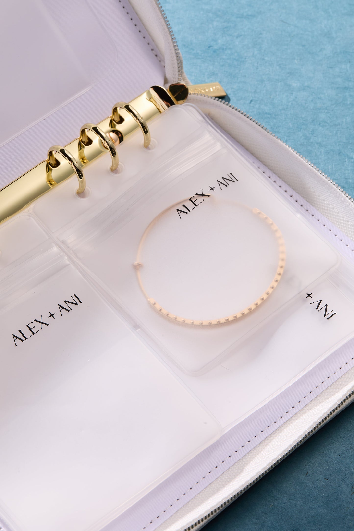 Alex and Ani Jewelry Binder