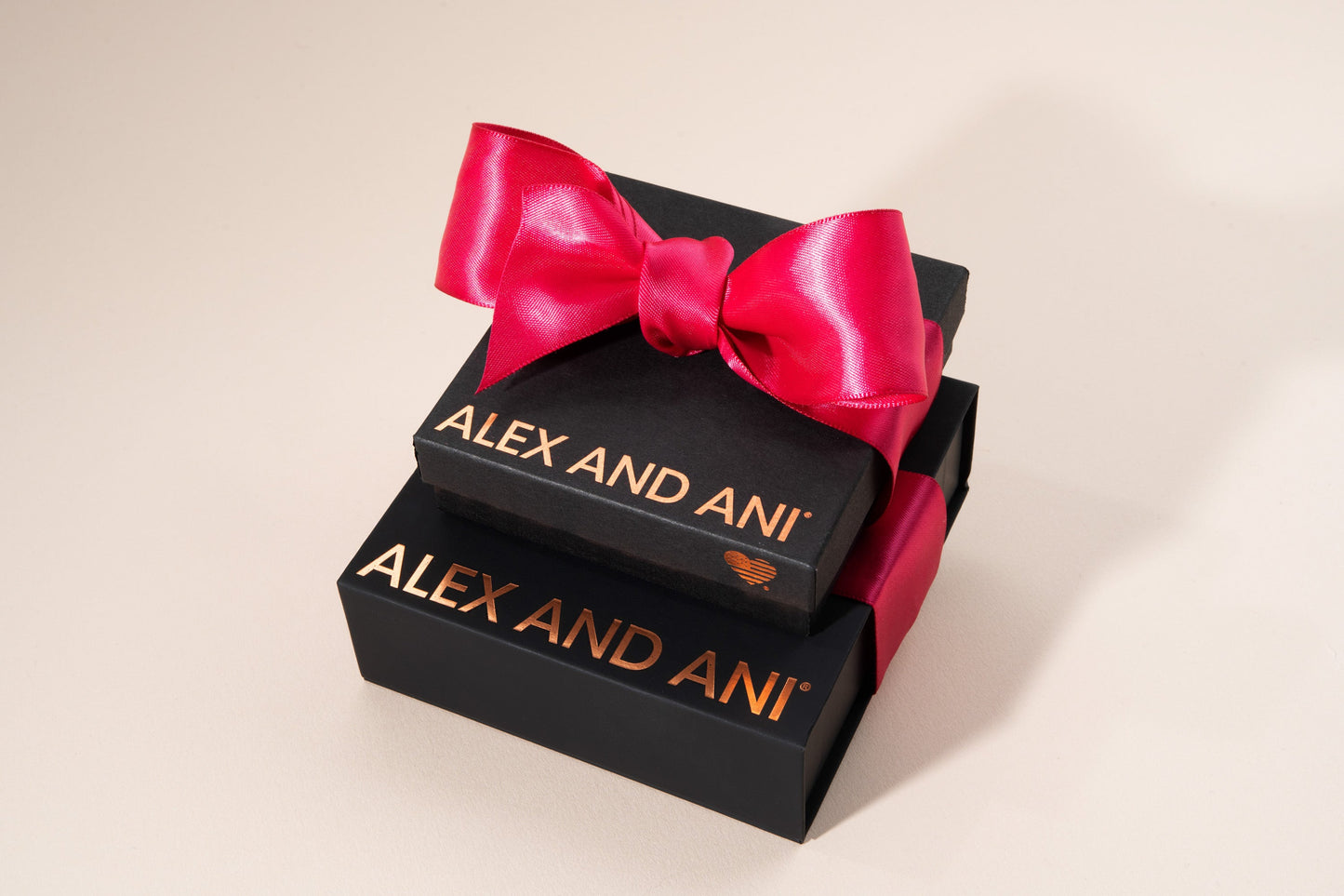 Jewelry Gift Box - Alex and Ani Black