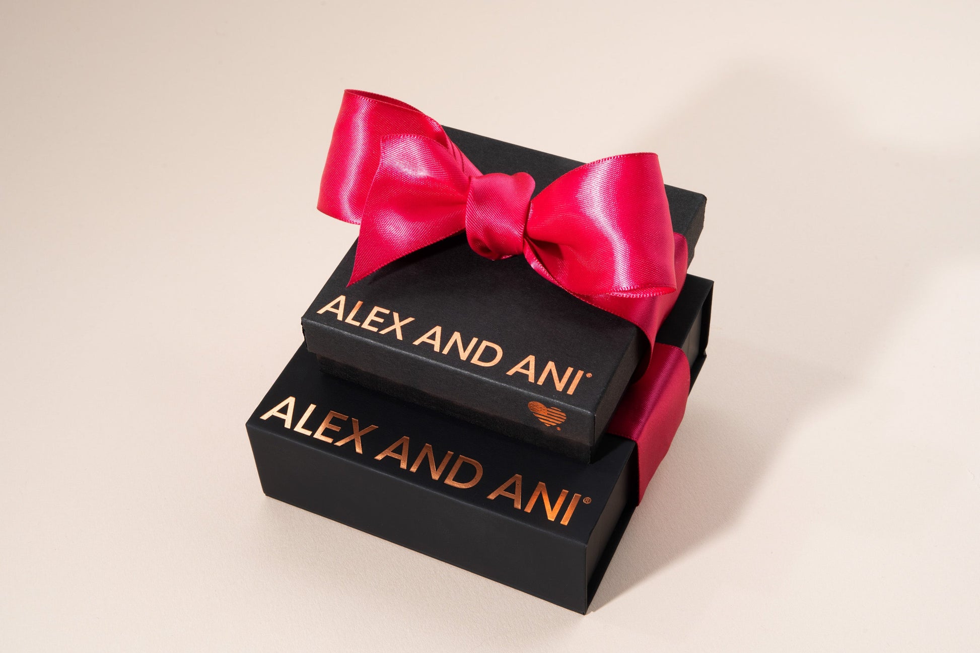 Jewelry Gift Box - Alex and Ani Black