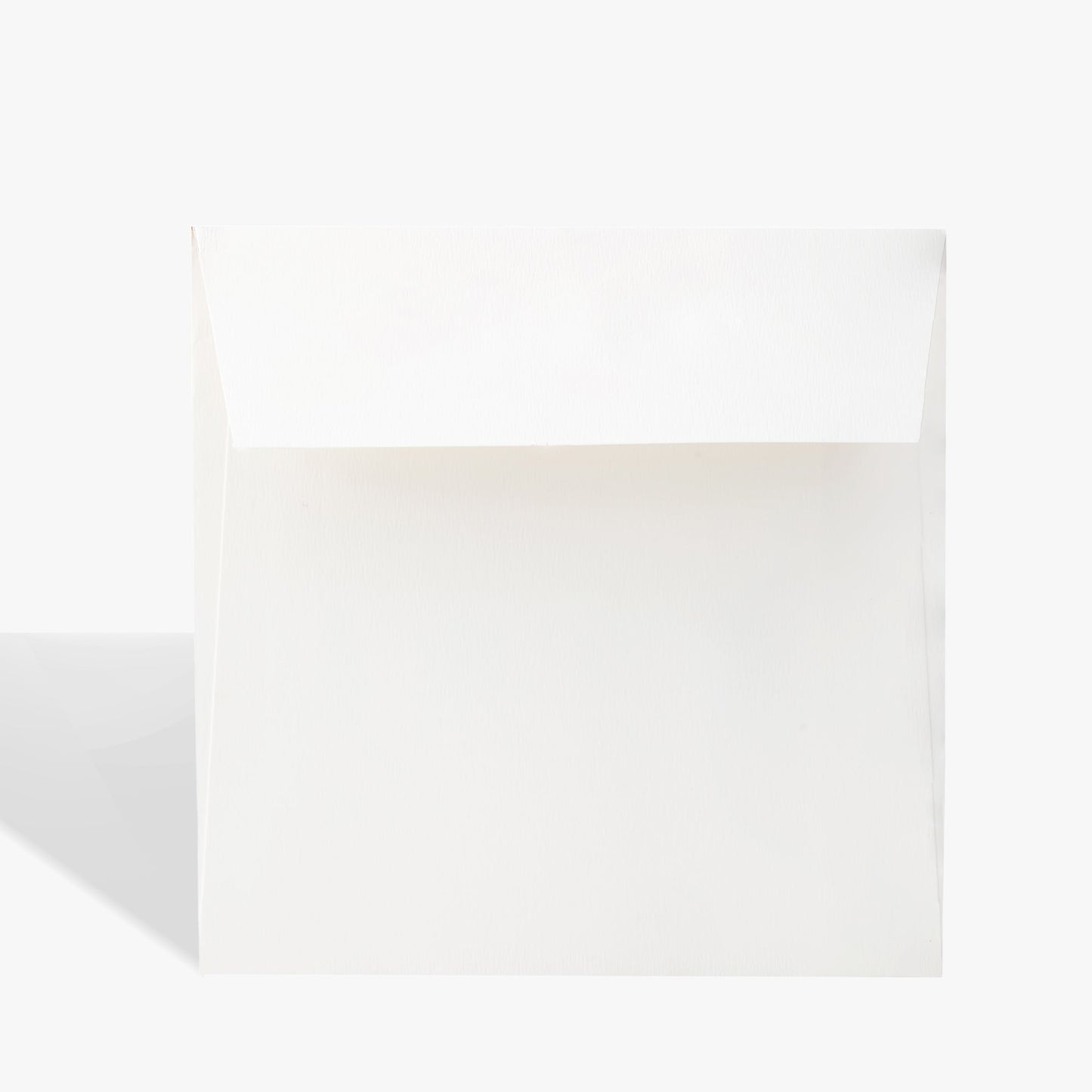 Evergreen Greeting Card Green