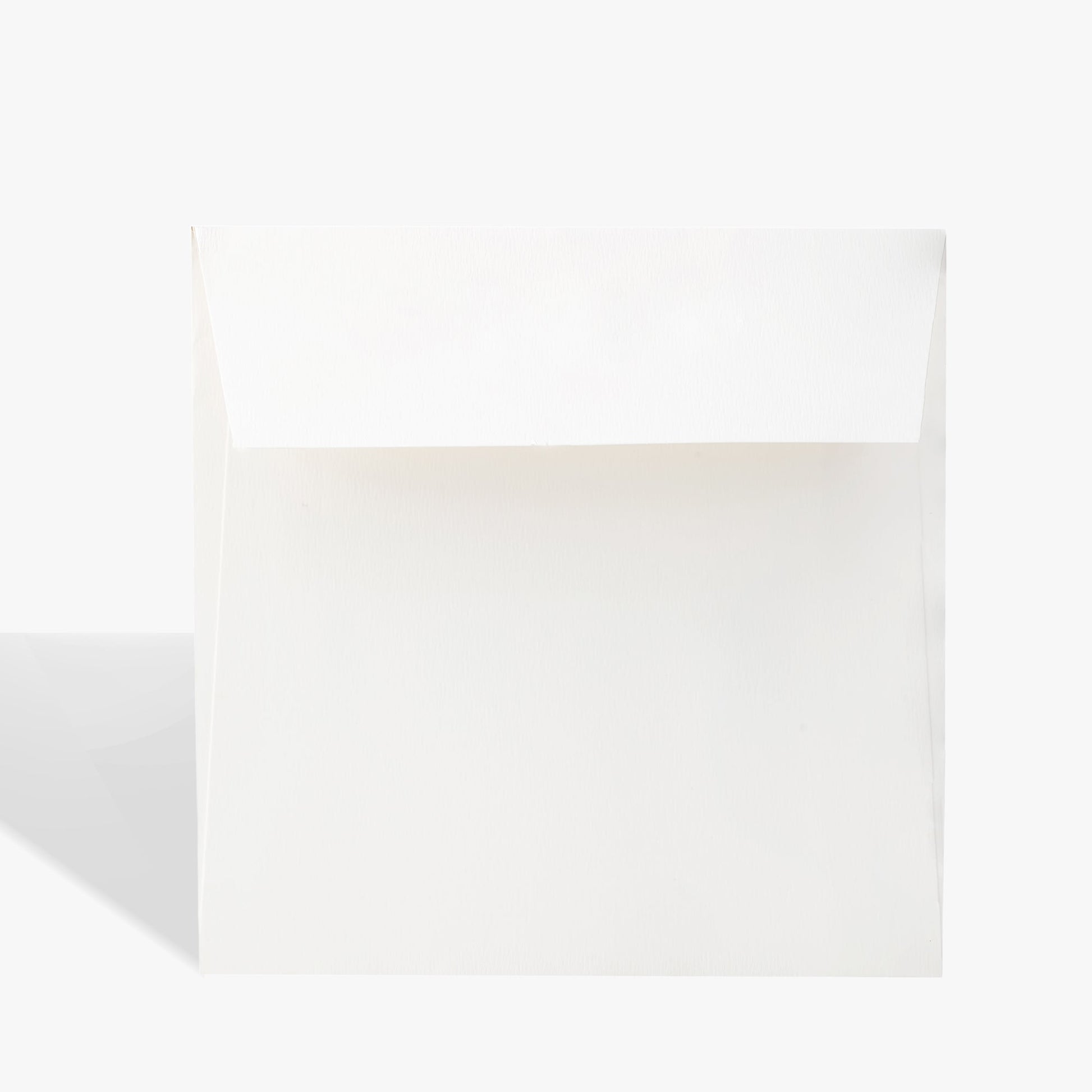 Holiday Greeting Card Blue