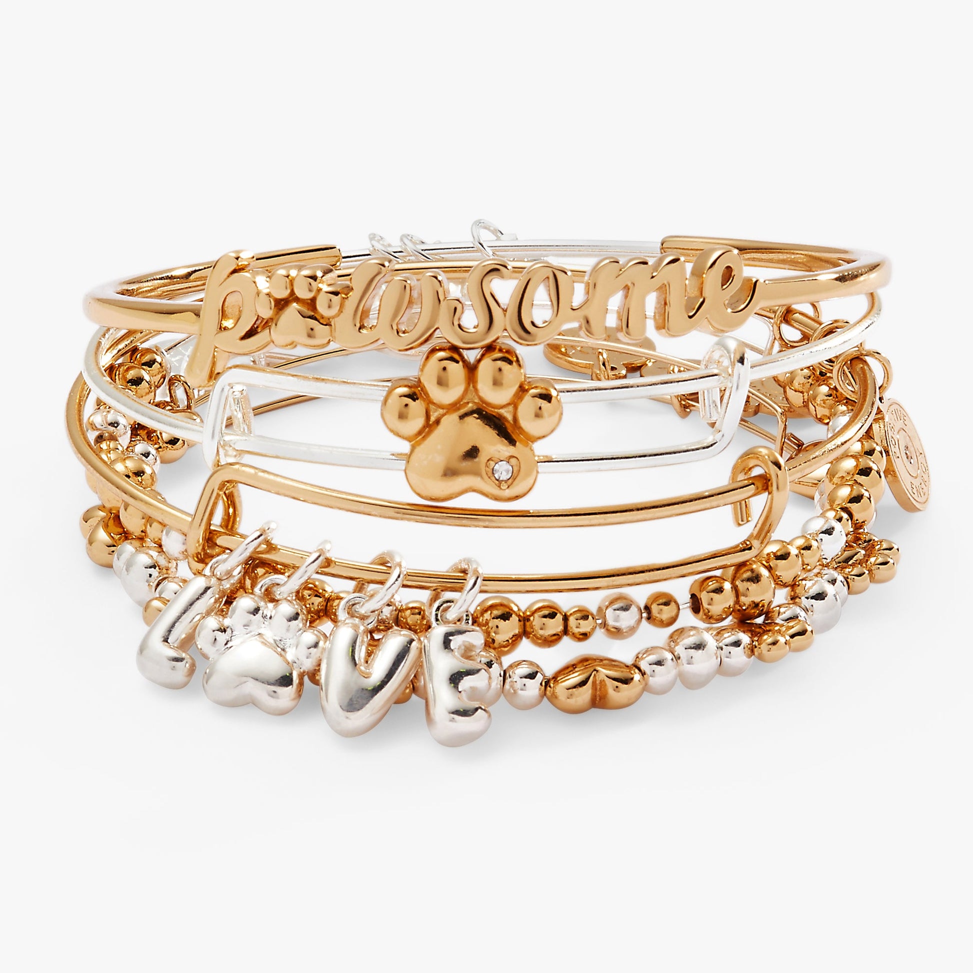 Puppy Love Bangles, Set of 5 Two Tone