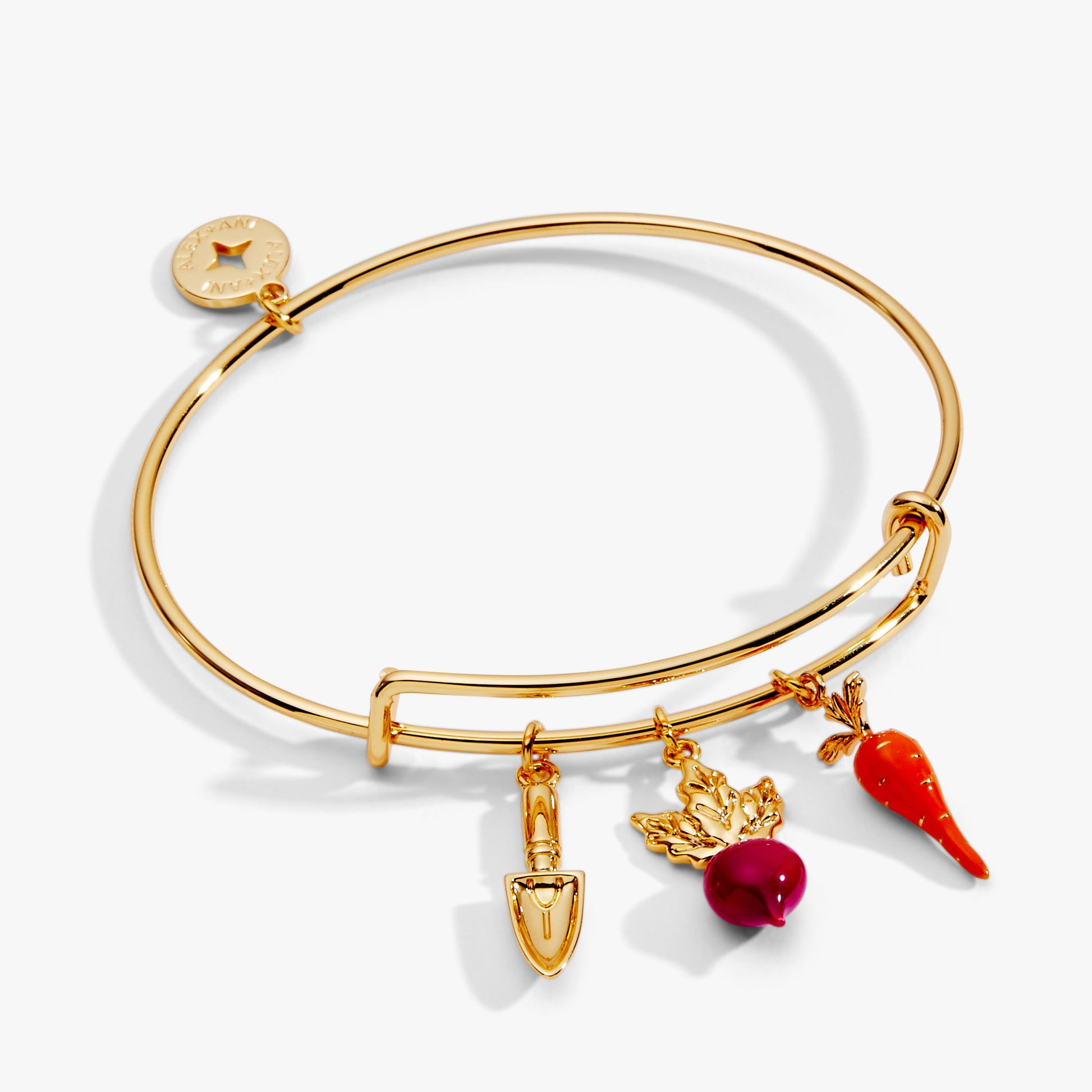 Farmers' Market Multi Charm Bangle Gold