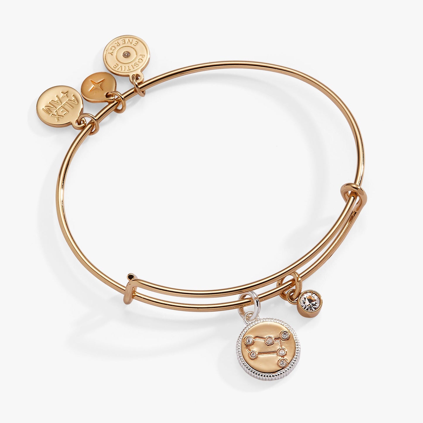 Gemini Zodiac Charm Bangle Two Tone