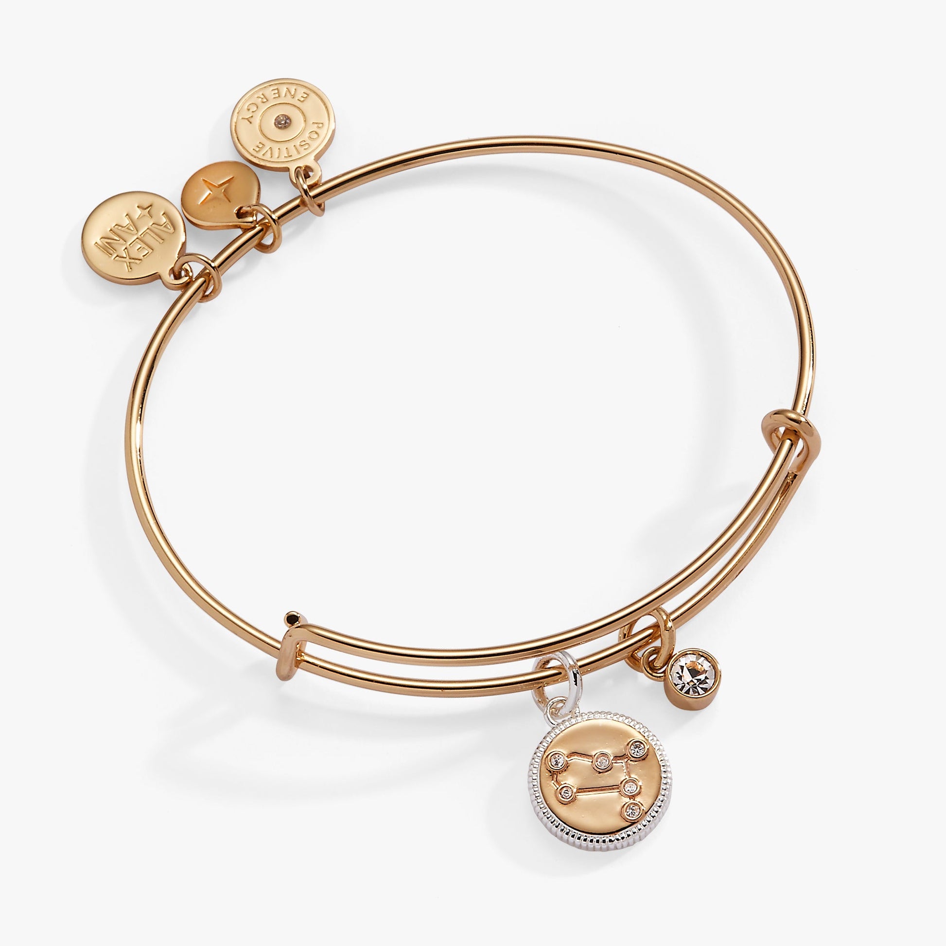 Gemini Zodiac Charm Bangle Two Tone
