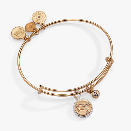 Gemini Zodiac Charm Bangle Two Tone