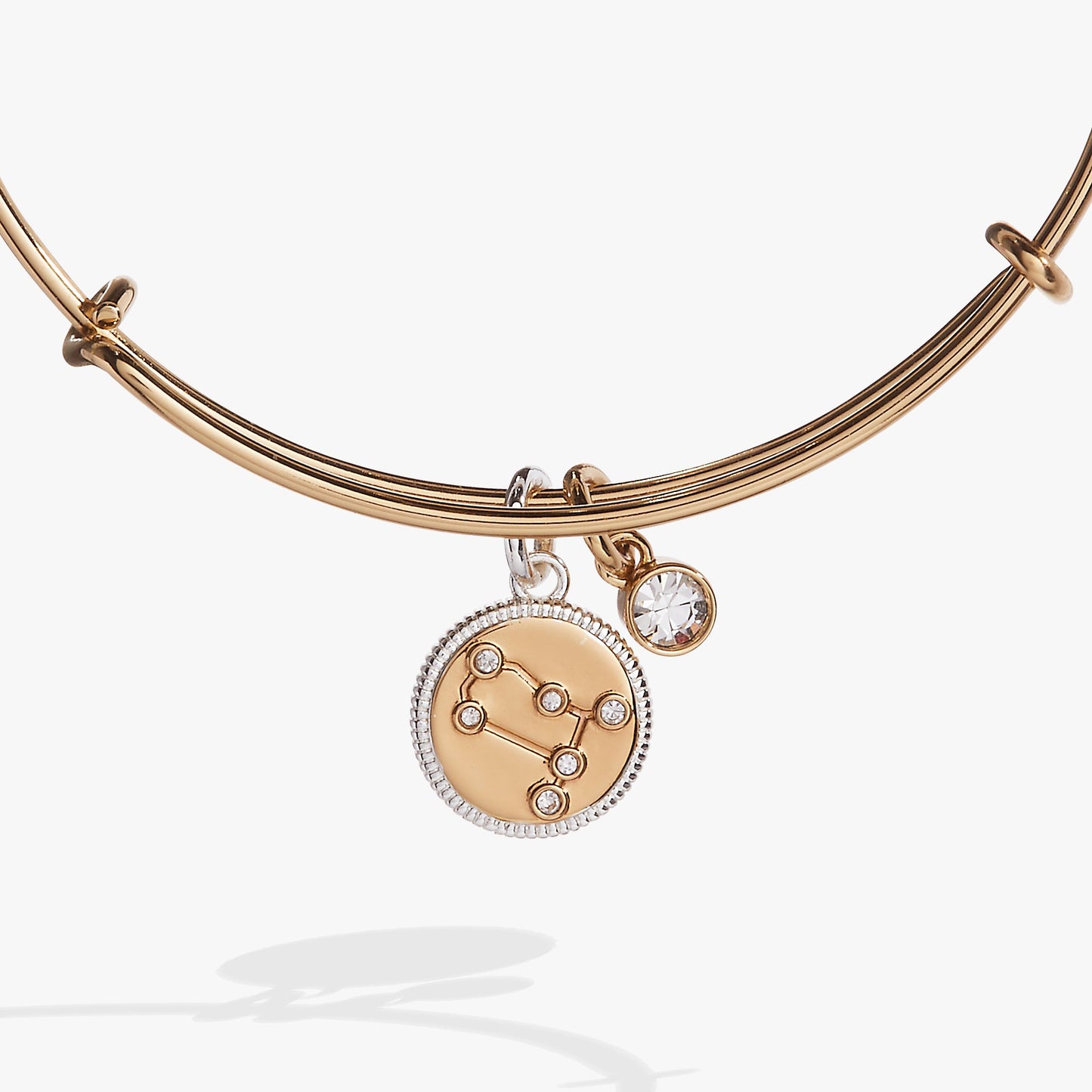 Gemini Zodiac Charm Bangle Two Tone