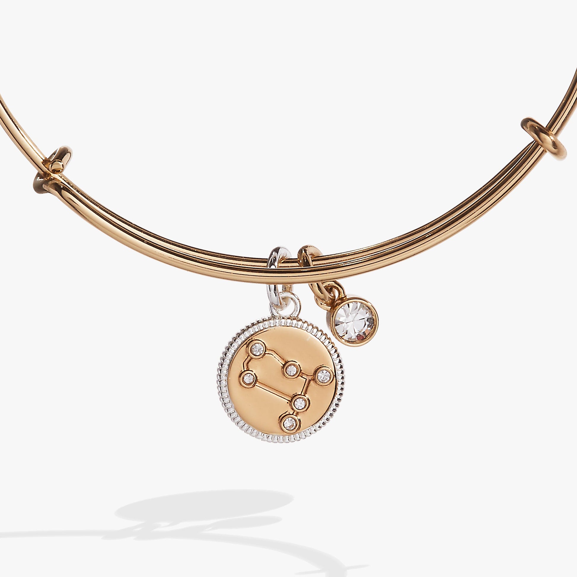 Gemini Zodiac Charm Bangle Two Tone