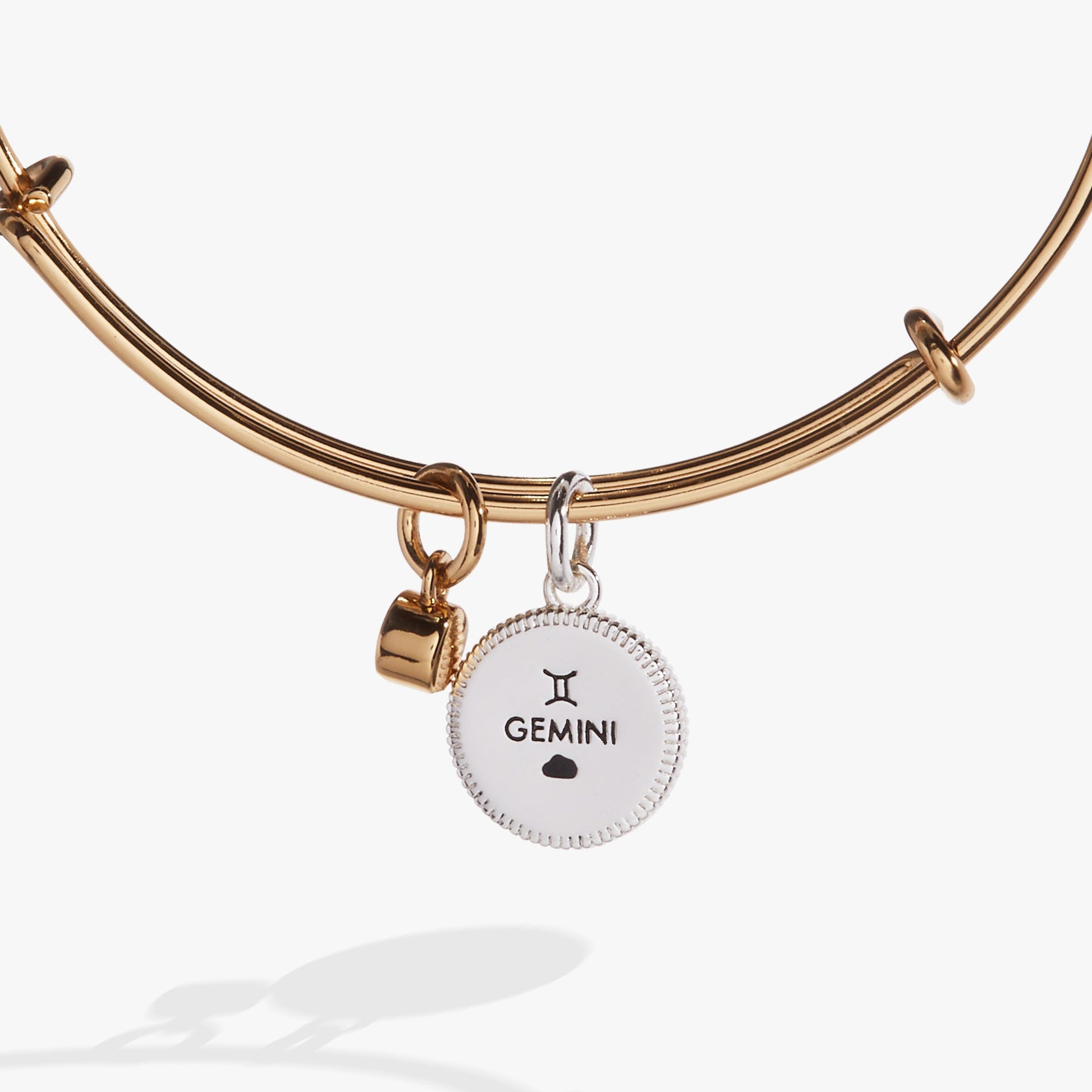 Gemini Zodiac Charm Bangle Two Tone