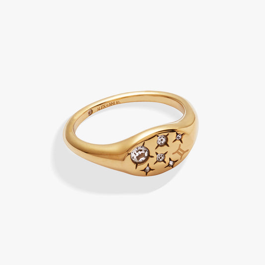 Gemini Zodiac Ring Stainless Steel Gold