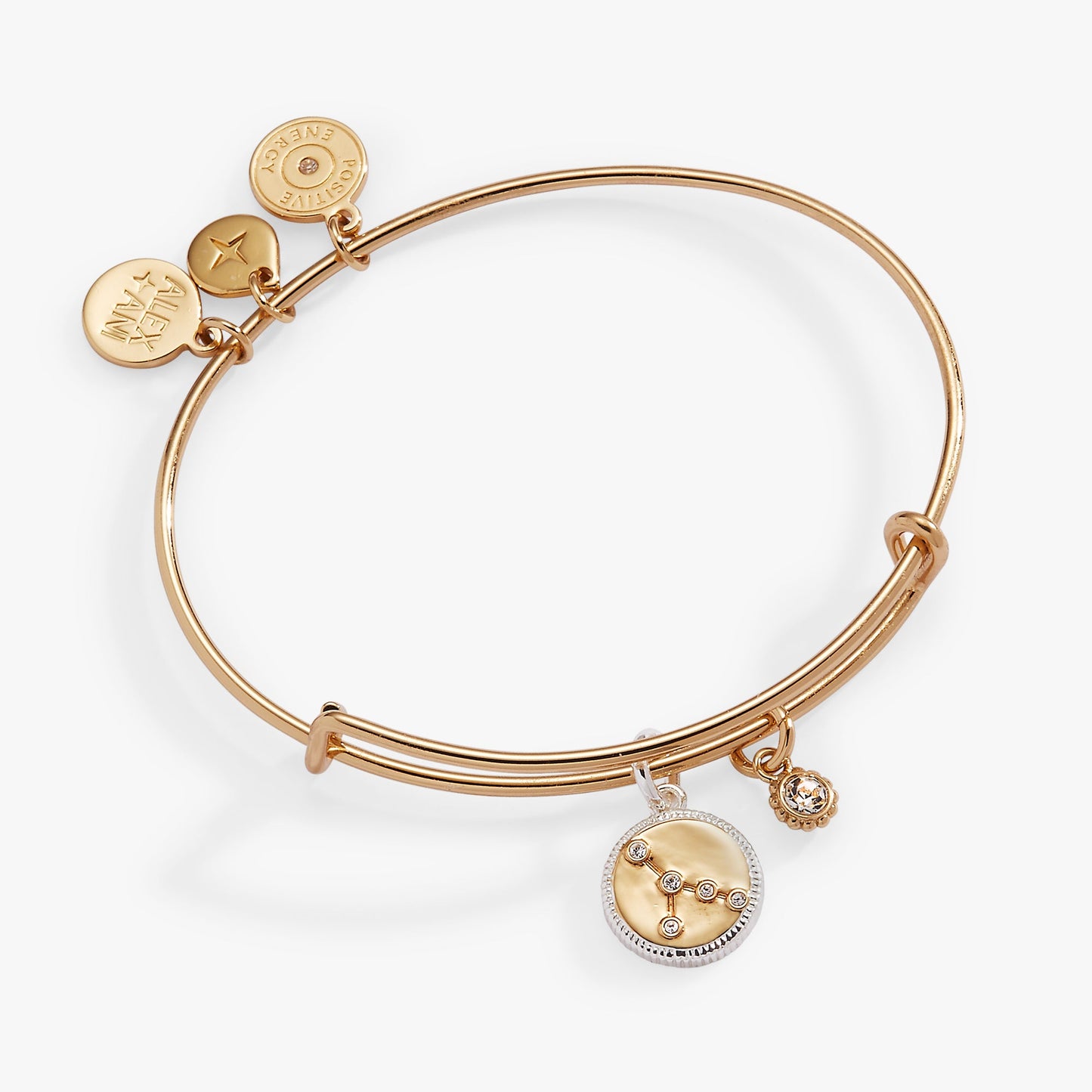 Cancer Zodiac Charm Bangle Two Tone