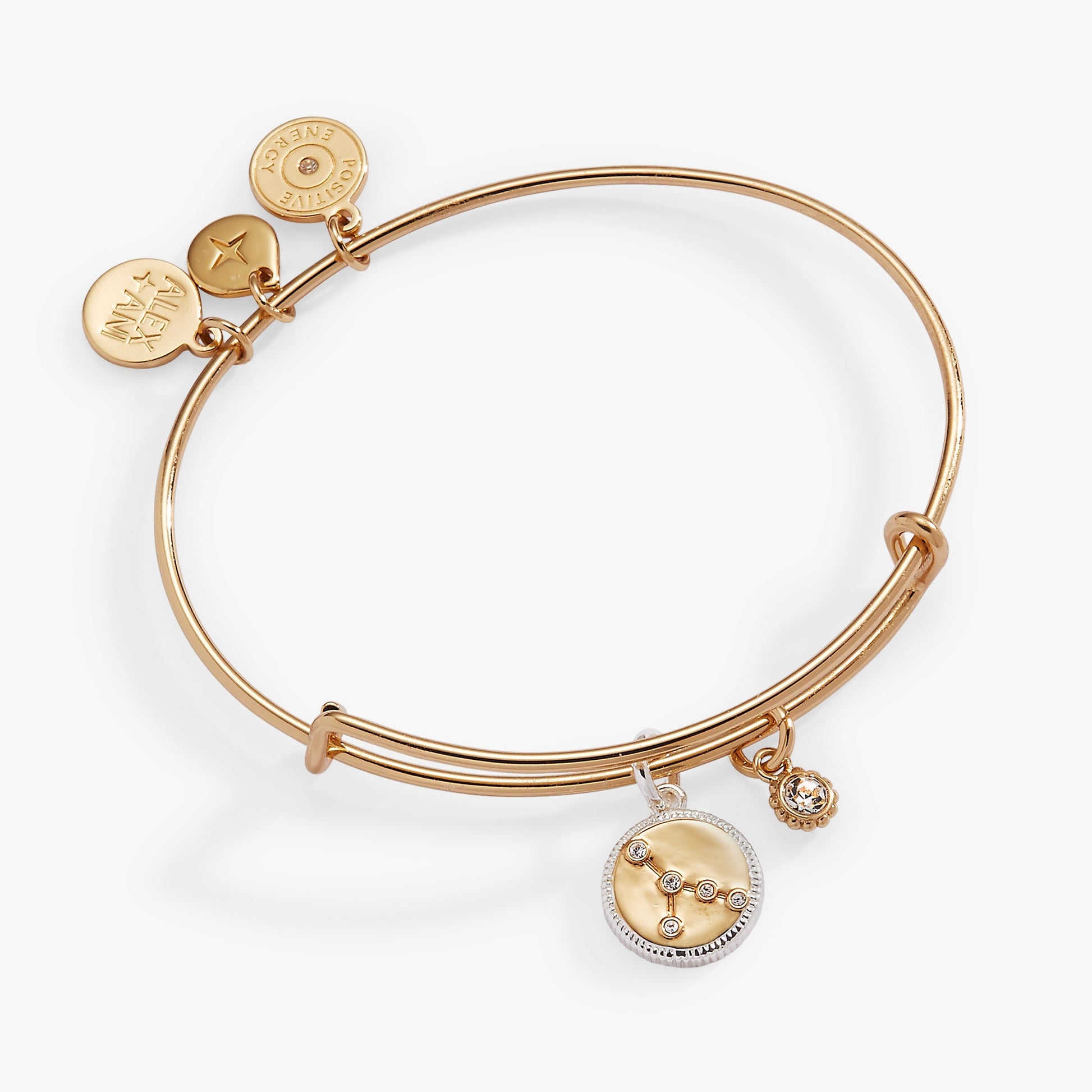 Cancer Zodiac Charm Bangle Two Tone