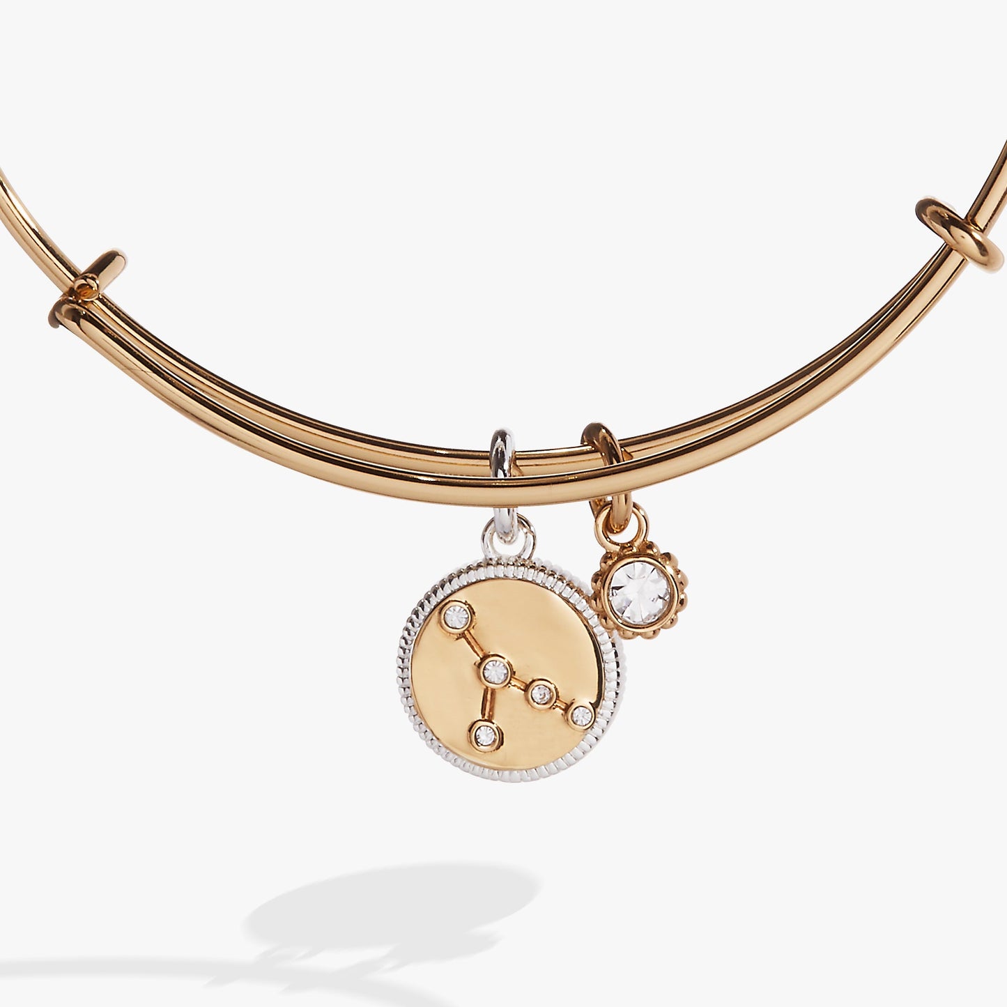 Cancer Zodiac Charm Bangle Two Tone