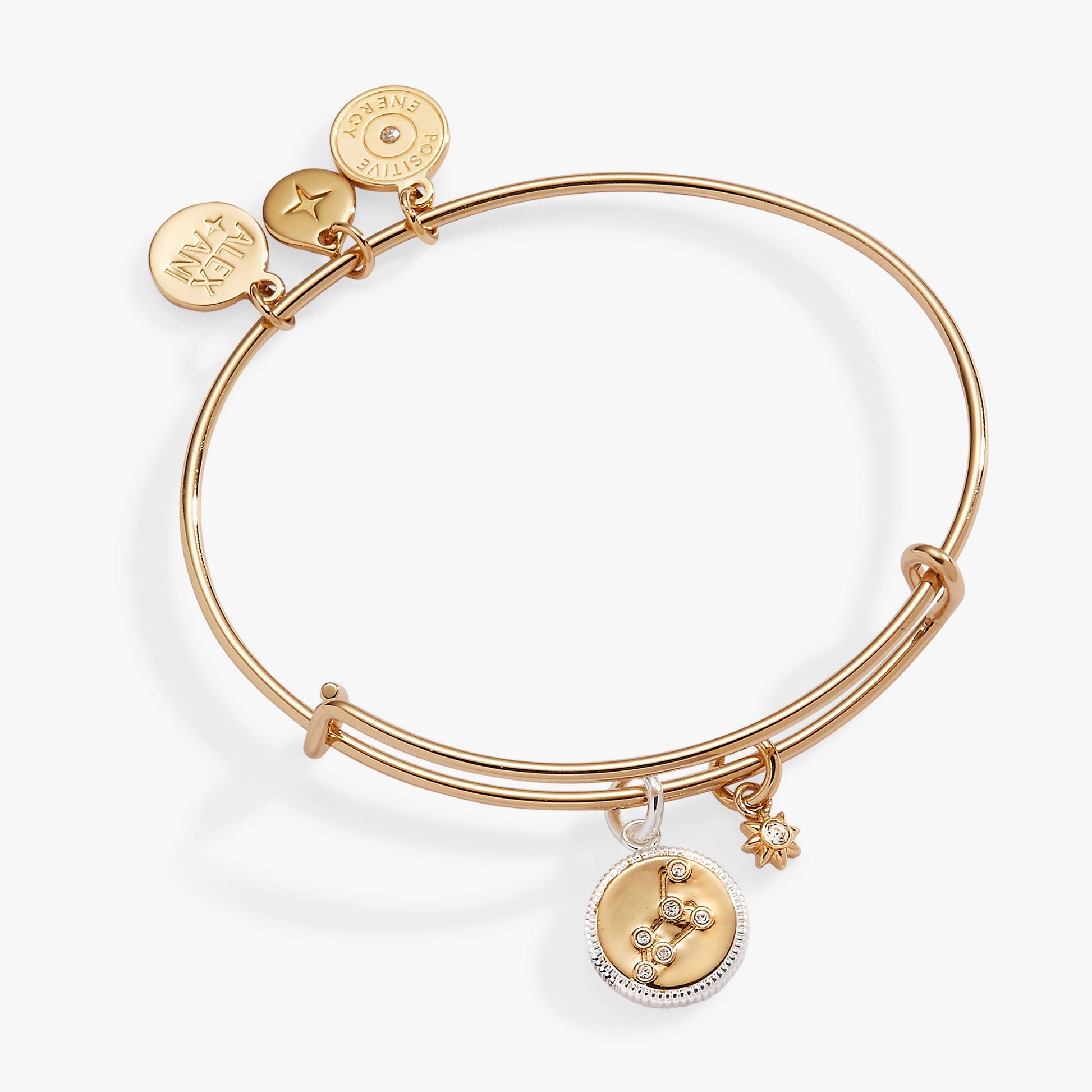 Leo Zodiac Charm Bangle Two Tone