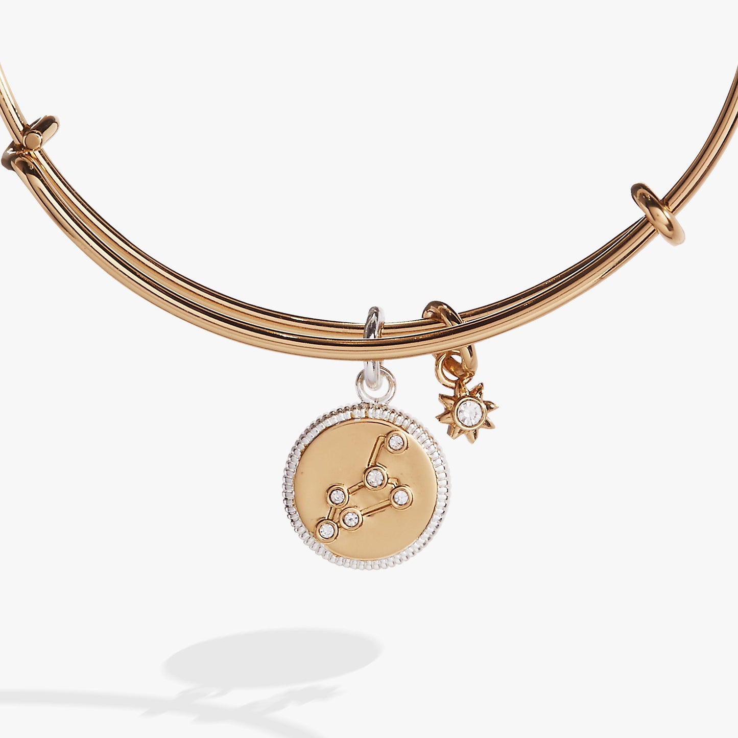Leo Zodiac Charm Bangle Two Tone