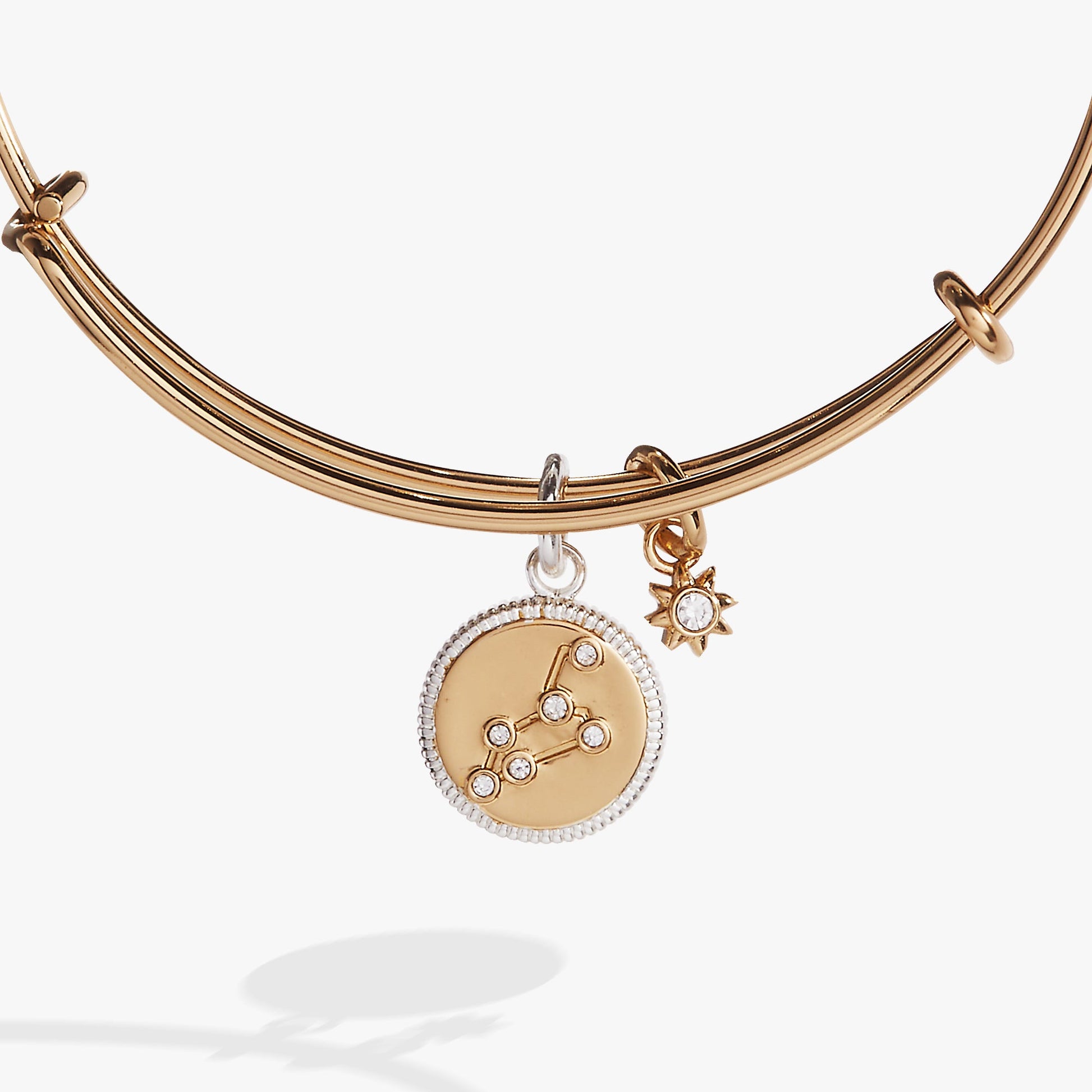 Leo Zodiac Charm Bangle Two Tone