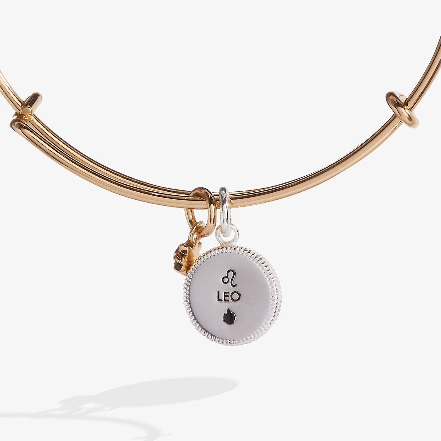 Leo Zodiac Charm Bangle Two Tone