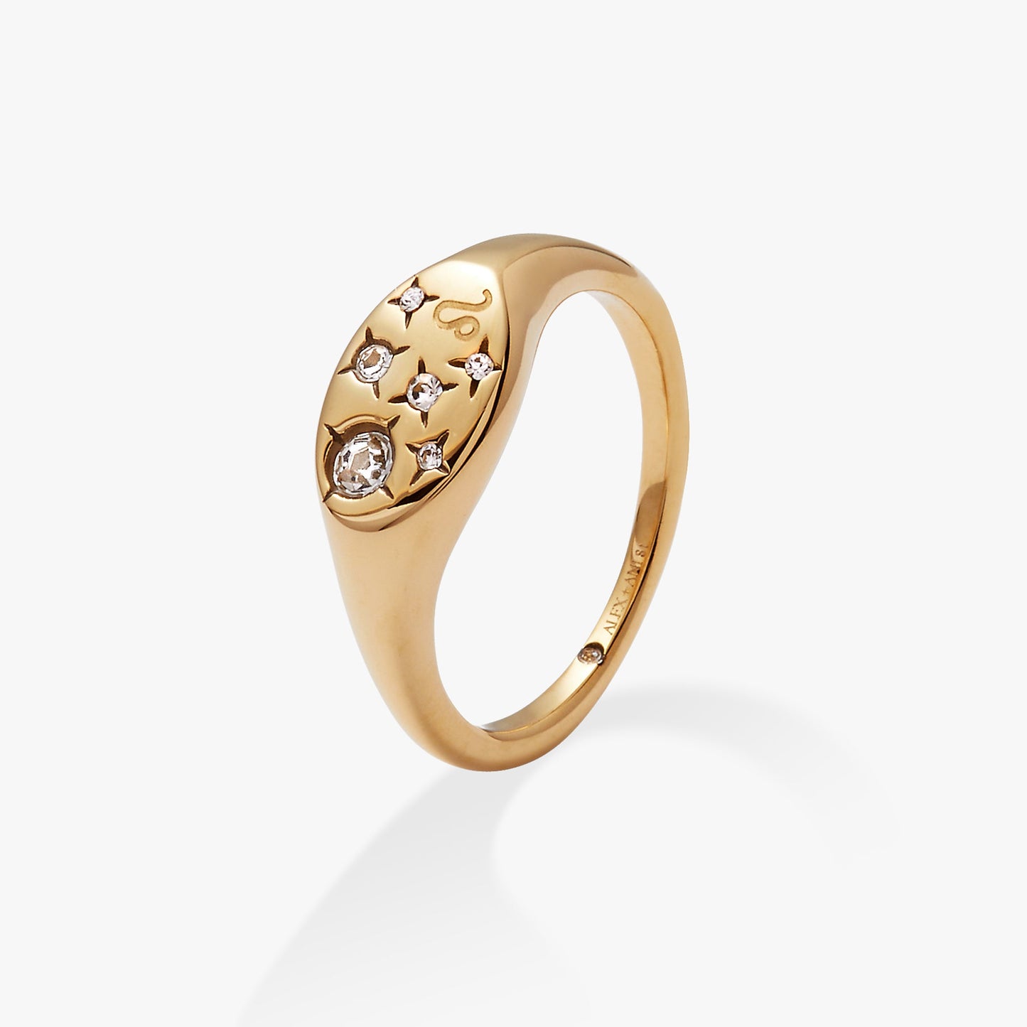 Leo Zodiac Ring Stainless Steel Gold