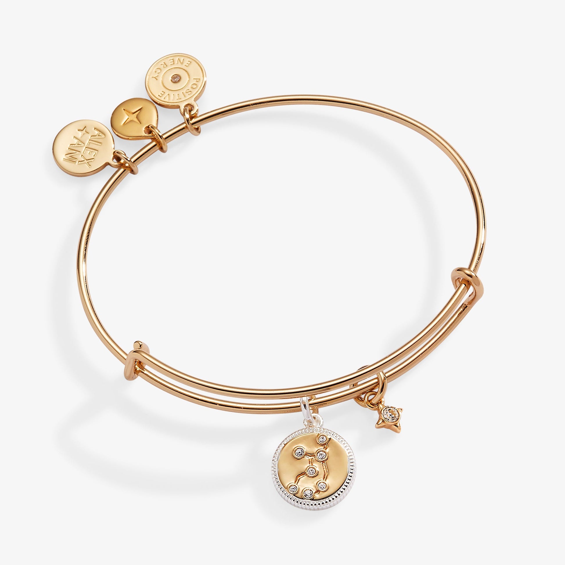 Virgo Zodiac Charm Bangle Two Tone