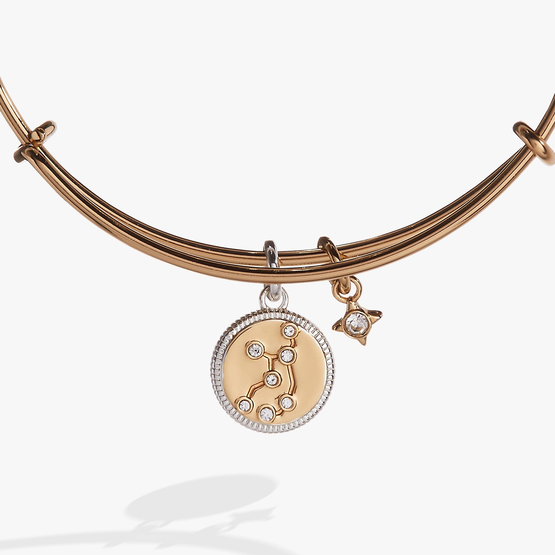 Virgo Zodiac Charm Bangle Two Tone