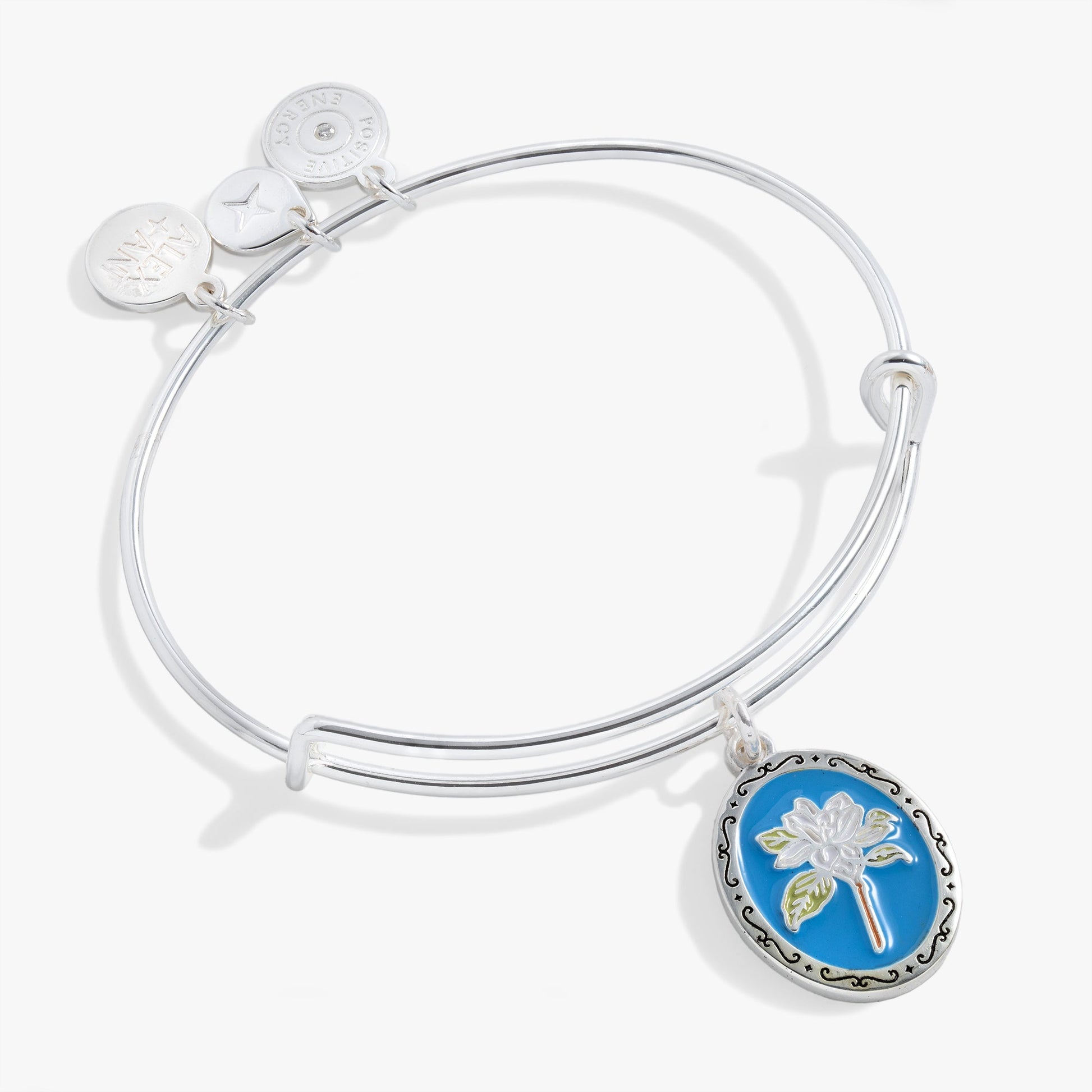 Sending Love Charm Bangle Silver