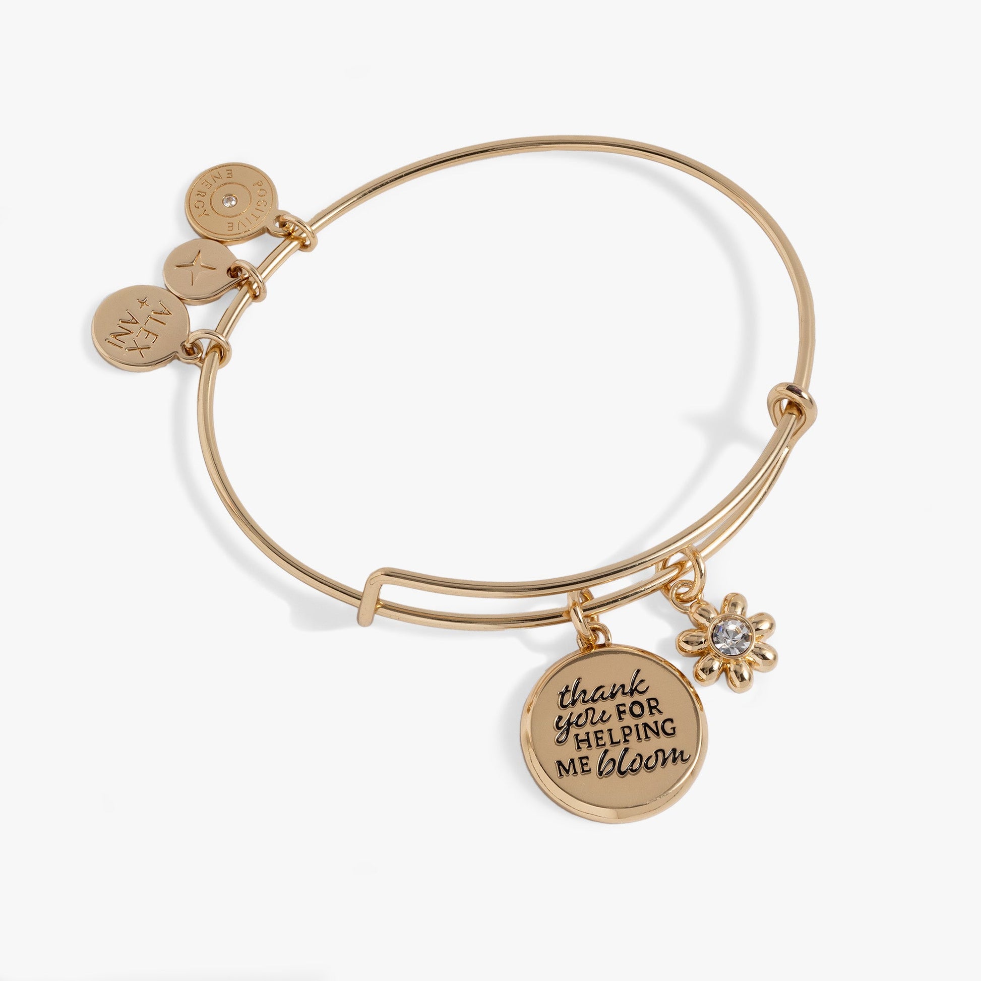 Thank You For Helping Me Bloom' Charm Bangle
    
    
    
       Silver