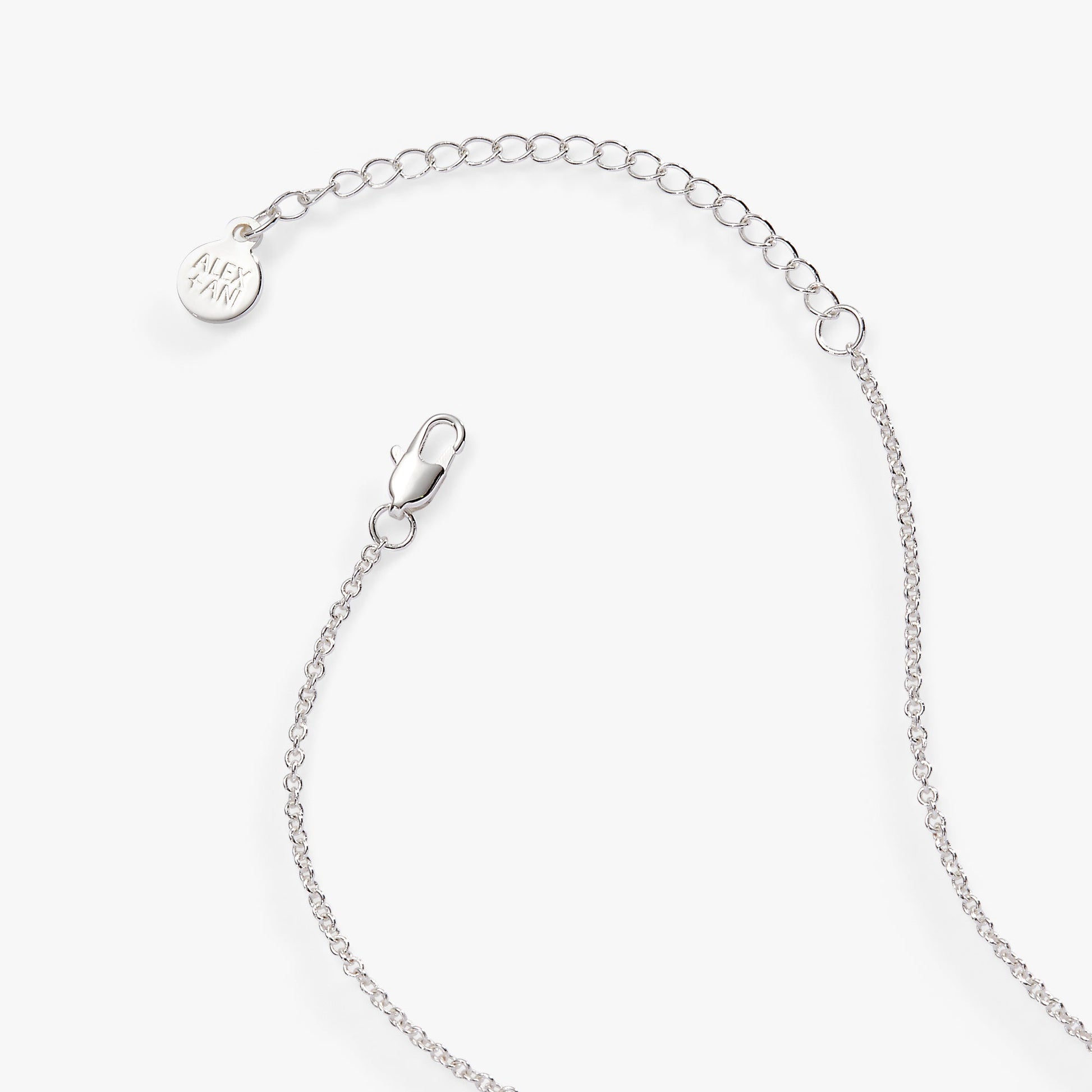 “Wild at Heart” Duo Charm Pendant Necklace Silver