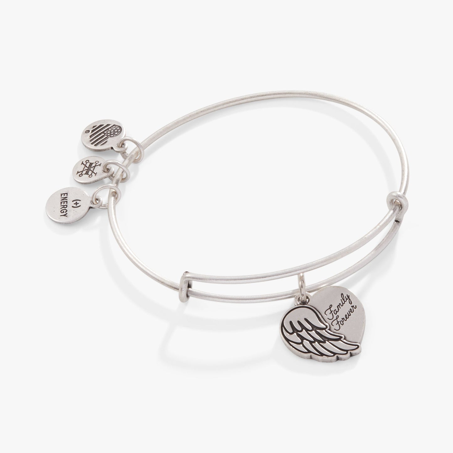 Family Forever' Angel Wing Heart Charm Bangle
    
    
    
       Rafaelian Silver