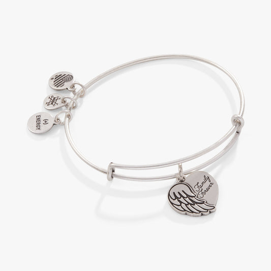 Family Forever' Angel Wing Heart Charm Bangle
    
    
    
       Rafaelian Silver