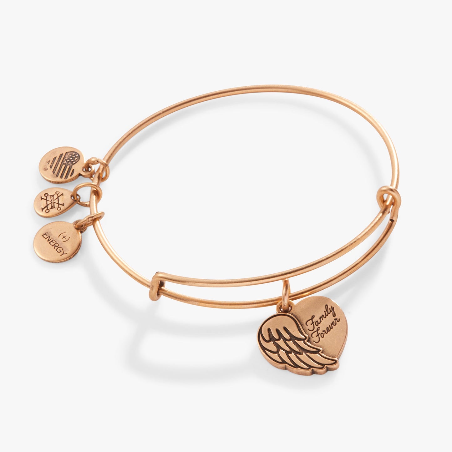 Family Forever' Angel Wing Heart Charm Bangle
    
    
    
       Rafaelian Silver